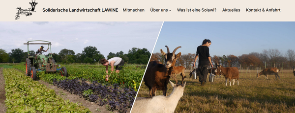 Neue eigene Webseite // Solawi Lawine